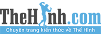 thehinhcom logo