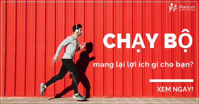 loi ich chay bo