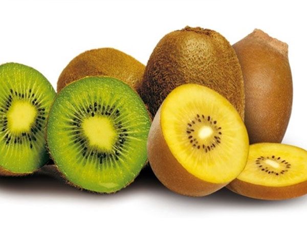 kiwi