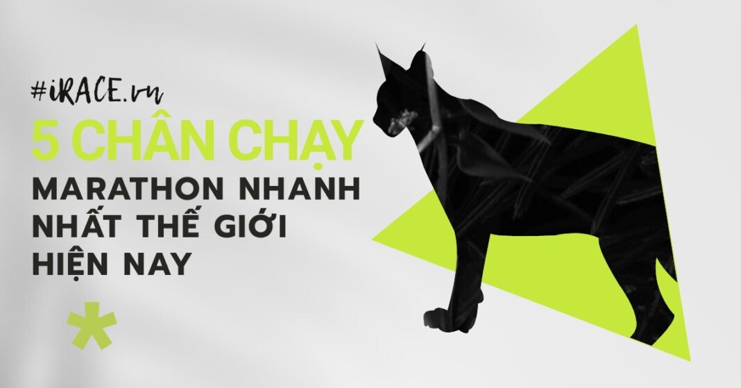 5 chân chạy Marathon nhanh nhất thế giới hiện nay