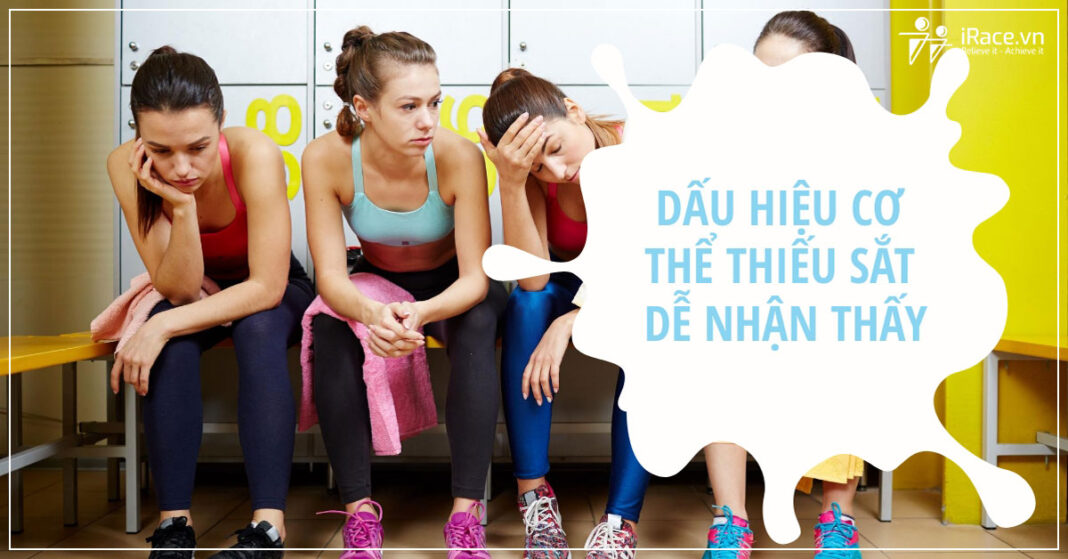 dau hieu thieu sat trong co the