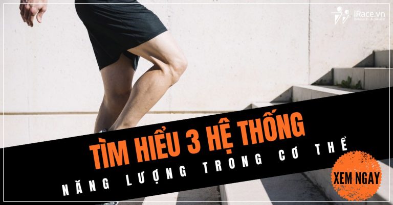 3 he thong nang luong trong co the