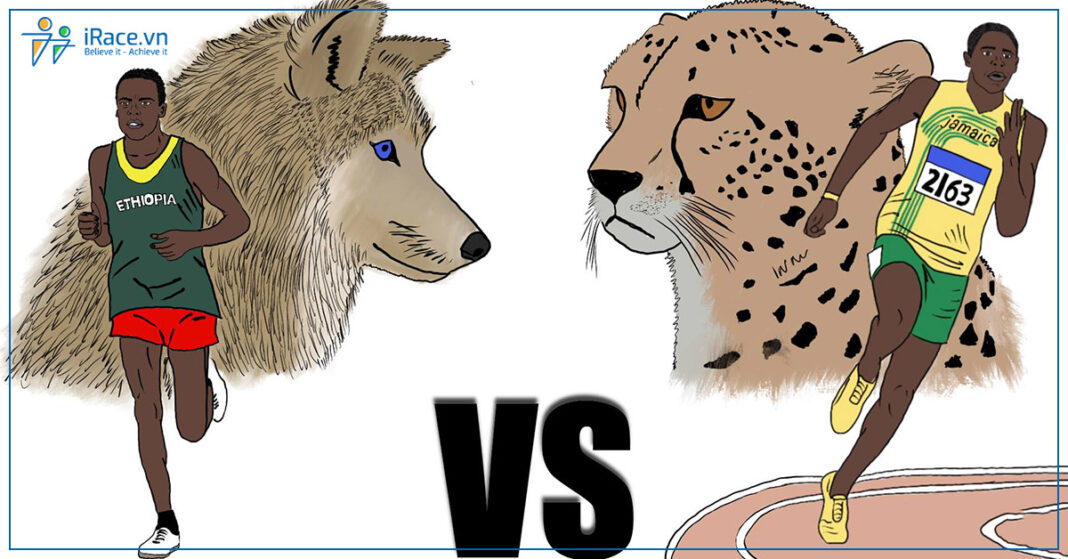 marathoner vs sprinter