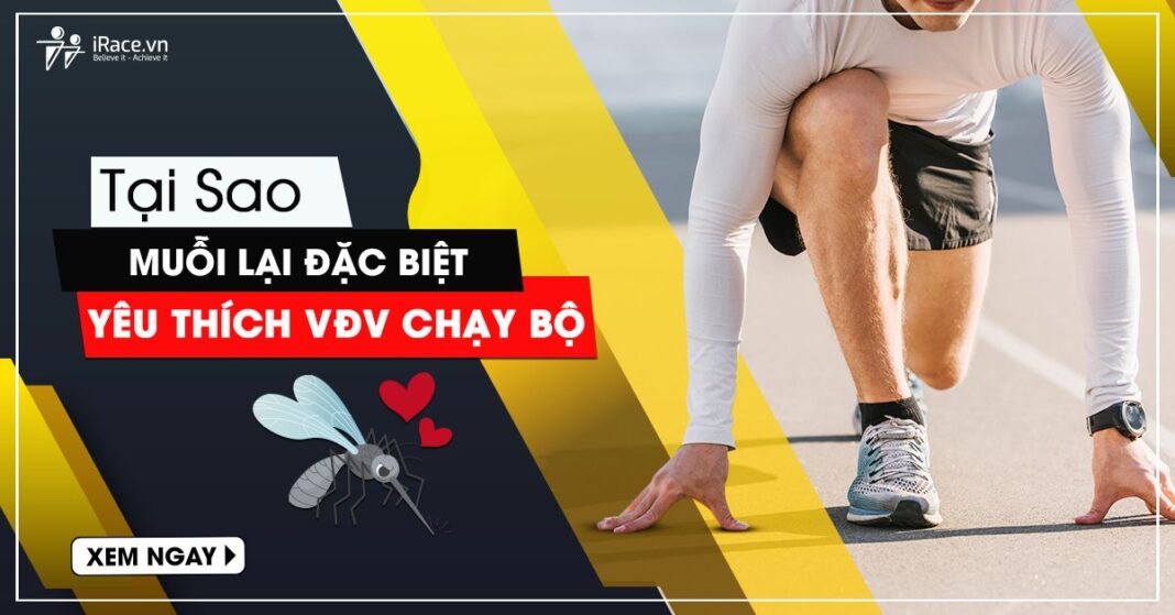 tao sao vdv chay bo thuong bi muoi can