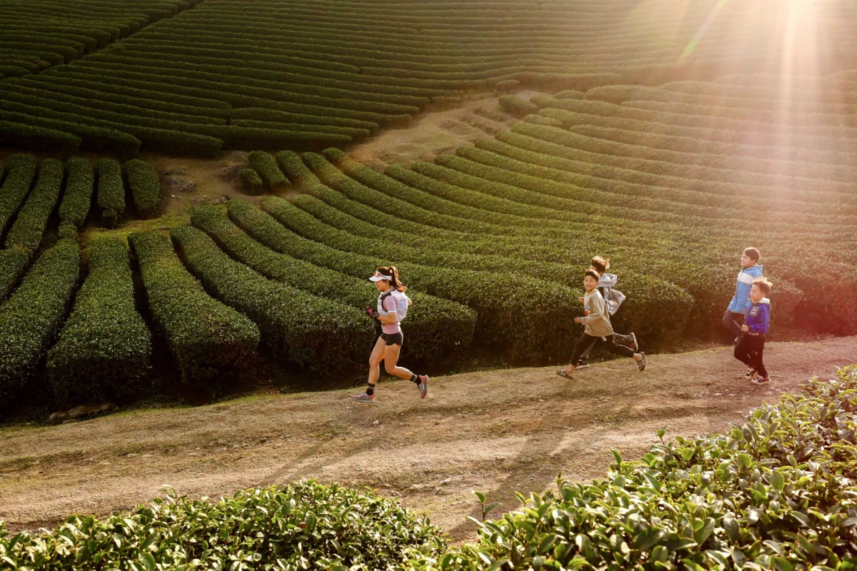 Vietnam Trail Marathon 2027