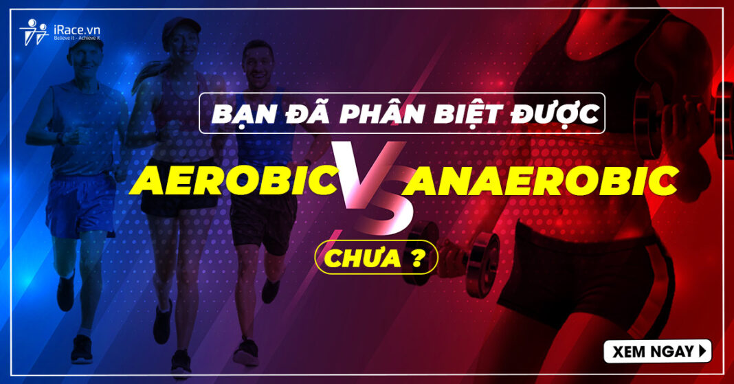 aerobic vs anaerobic