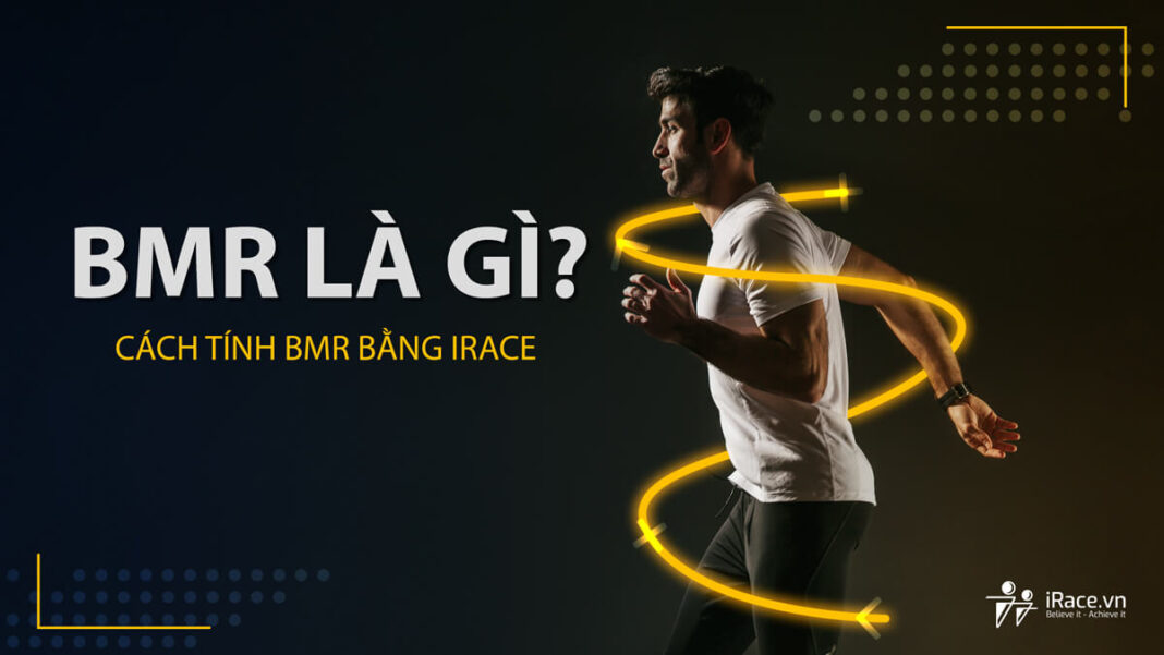 BMR là gì ? Cách tính BMR tự động trên iRace.vn