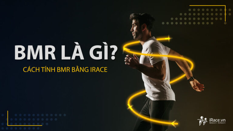 BMR là gì ? Cách tính BMR tự động trên iRace.vn