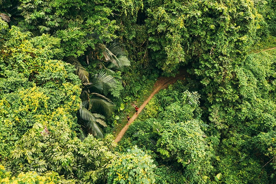 Ba Be Jungle Marathon 2021