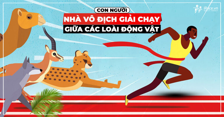 con nguoi nha vo dịch giai chay giua cac loai dong vat