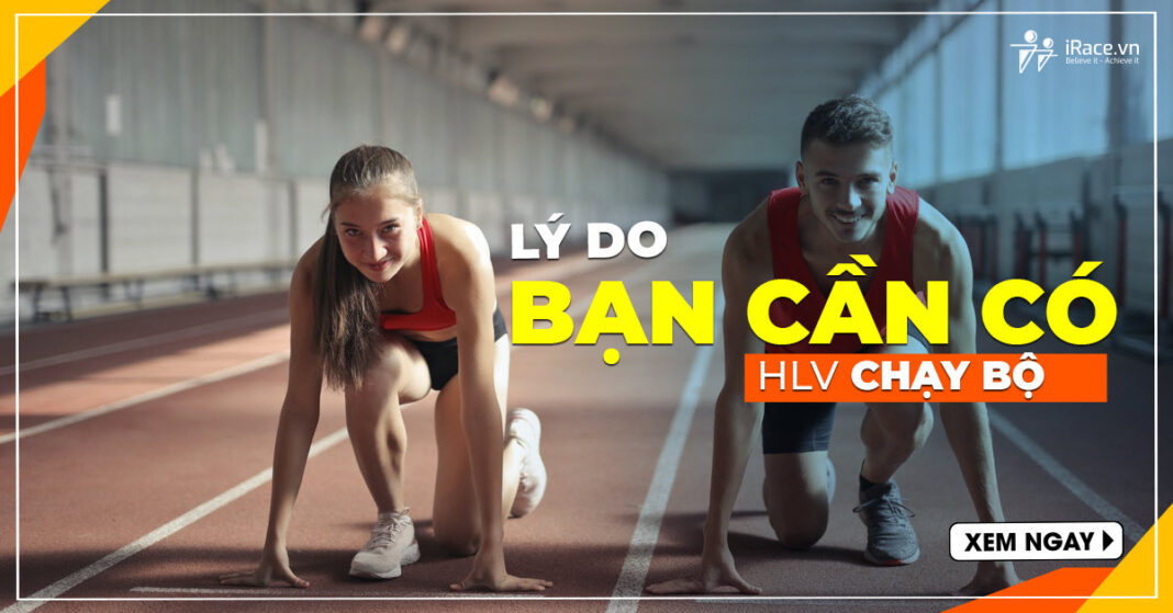 ly do ban can co hlv chay bo
