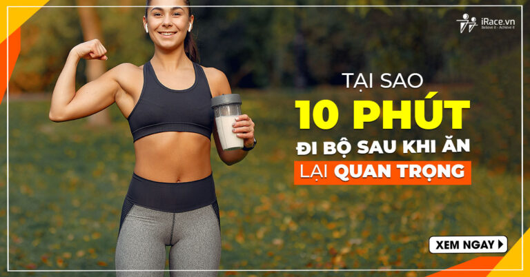 ly do 10 phut di bo sau khi an lai quan trong