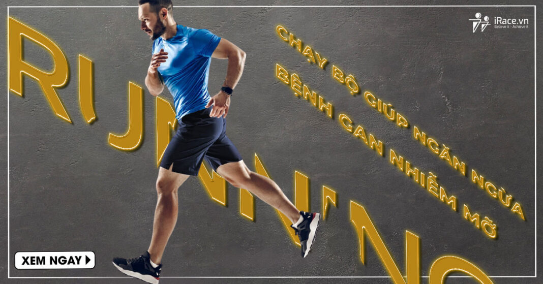 chay bo ngan ngua gan nhieu mo