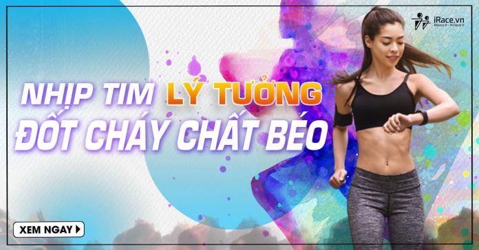 nhip tim ly tuong dot chay chat beo