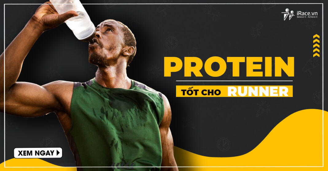 protein cho nguoi chay bo