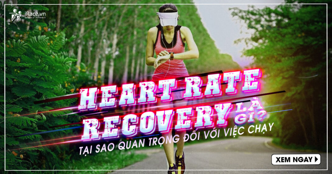 nhip tim phuc hoi la gi