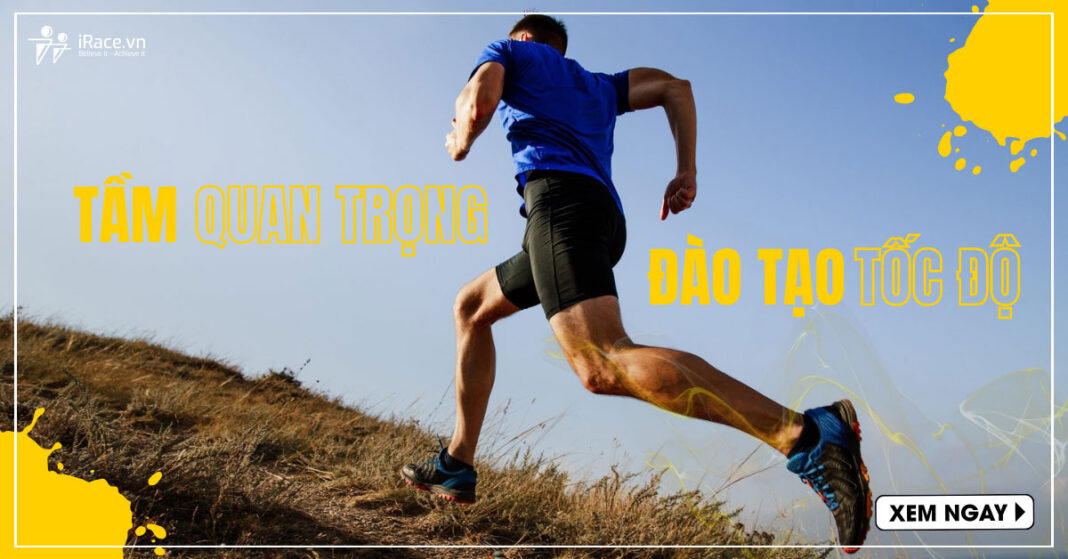 tam quan trong dao tao toc do