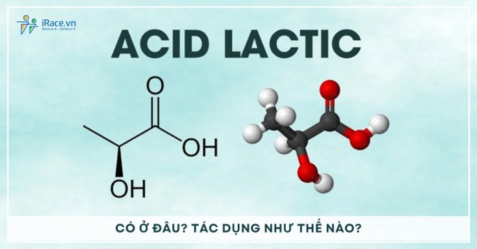 Axit lactic là gì? Có ở đâu? Tác dụng của axit lactic
