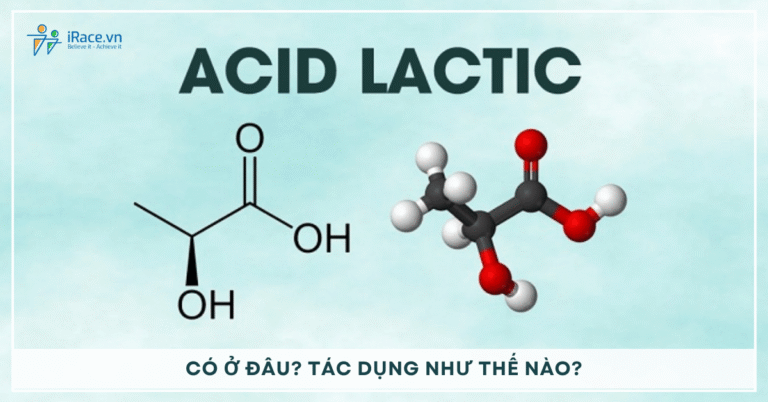Axit lactic là gì? Có ở đâu? Tác dụng của axit lactic