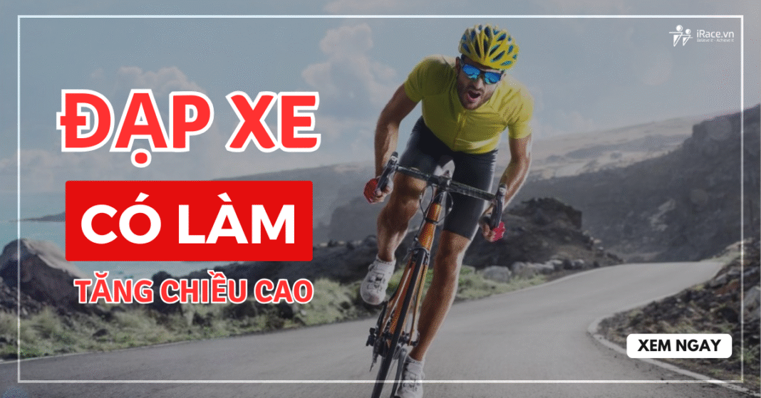 Đạp xe có tăng chiều cao không?