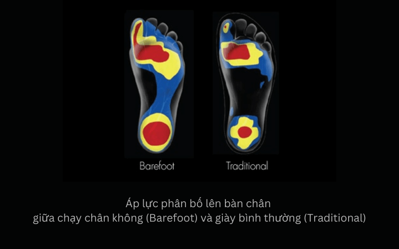 Nike Free xoay quanh bàn chân, không phải xoay quanh chất lượng bề mặt