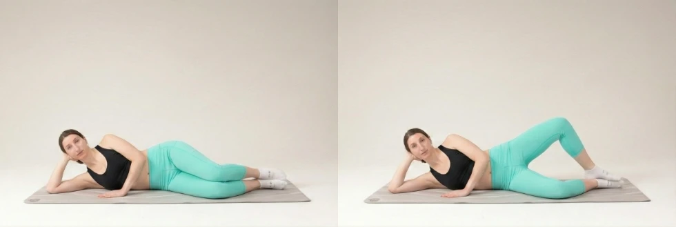 Clamshell (Vỏ sò)