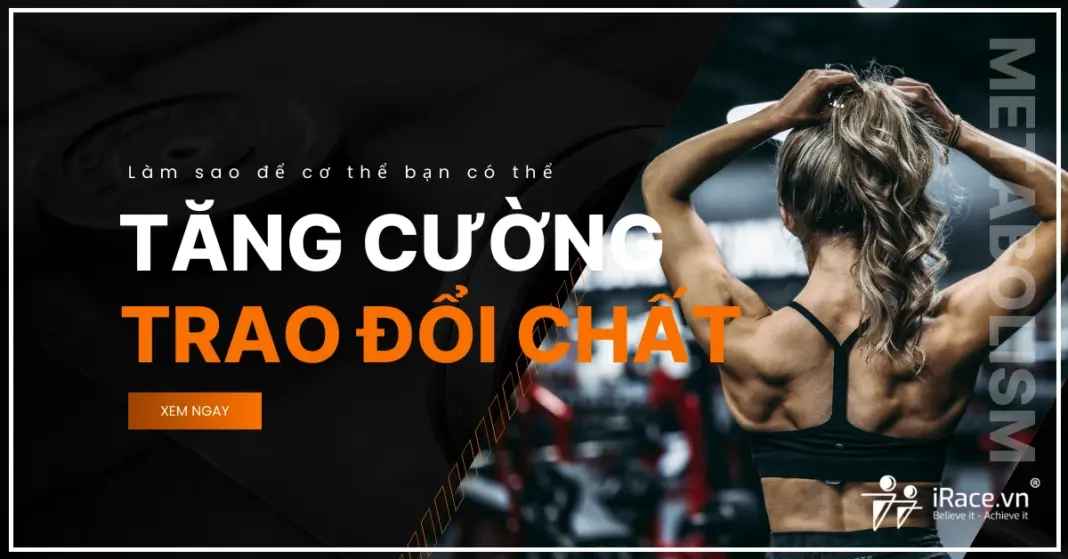Tại sao ăn ít vẫn béo? Bí mật về tăng cường trao đổi chất bạn chưa từng biết
