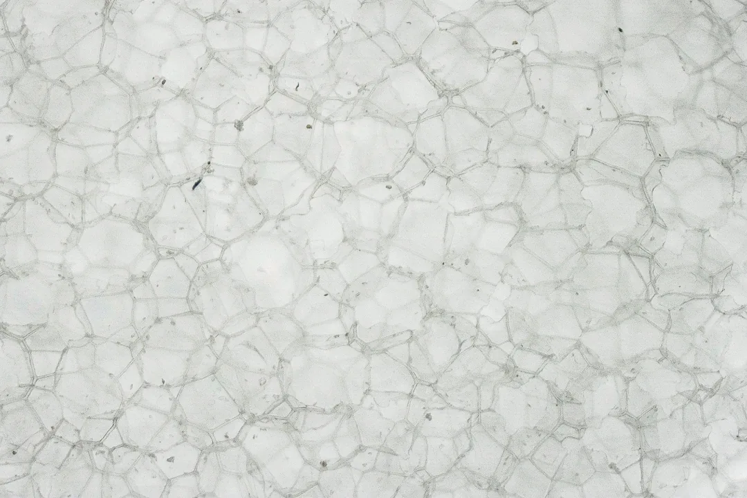 Độ mềm của bọt đệm (Midsole softness)